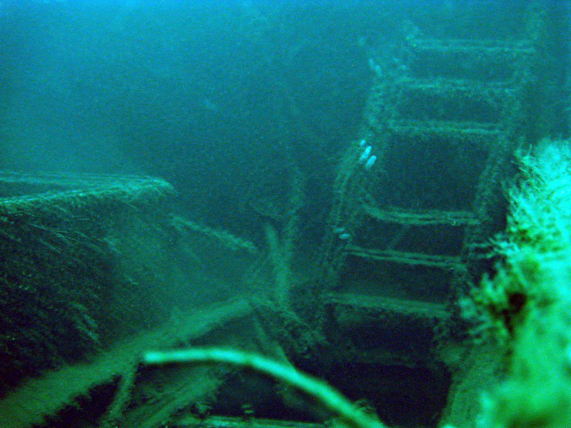 Fil:DS Lita juli 2009 029(Fix) 800x600.jpg