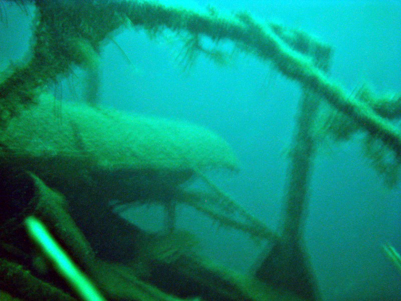 Fil:DS Lita juli 2009 011(Fix) 800x600.jpg