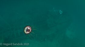 Bilder av Vegard Sandvik