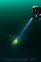 Bilder av Vegard Sandvik