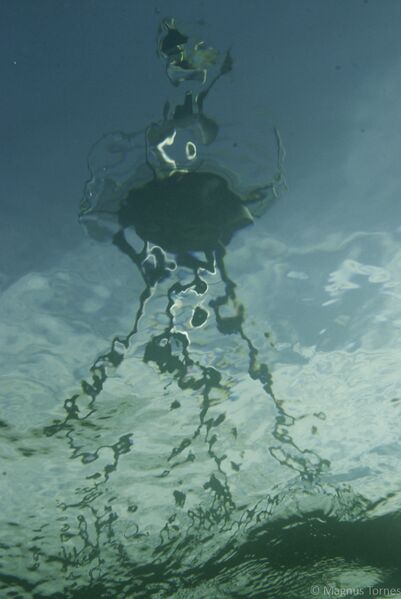 Fil:Stake FrettenX.jpg