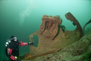 Tore2, Skjærvøy.jpg