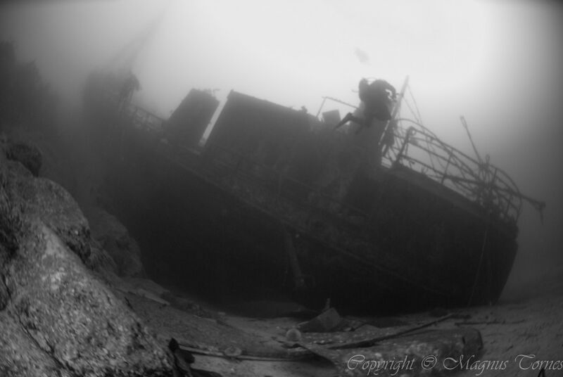 Fil:Torp Kvitneset.jpg