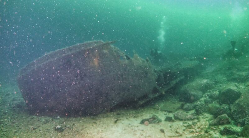 Fil:Unkown askoy1.jpg