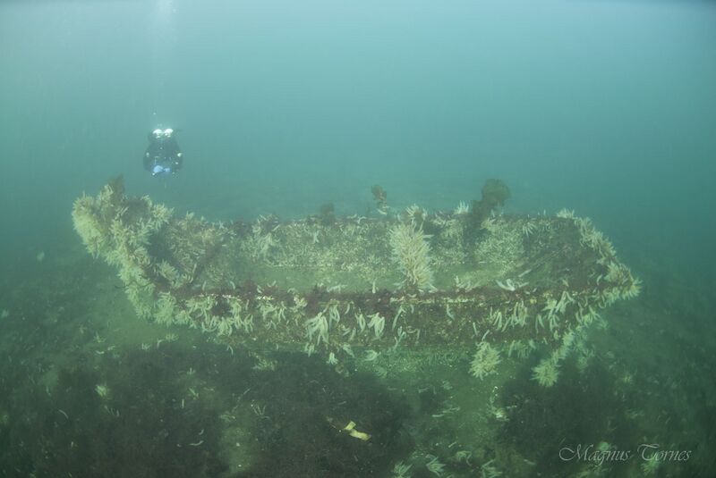 Fil:VraktegnSkarsbø Harøysund.jpg