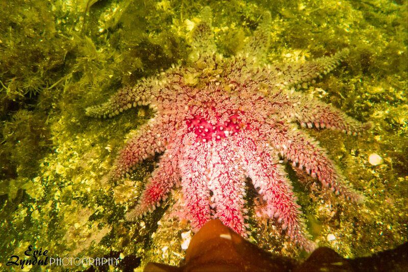 Fil:Spring 5346e.jpg