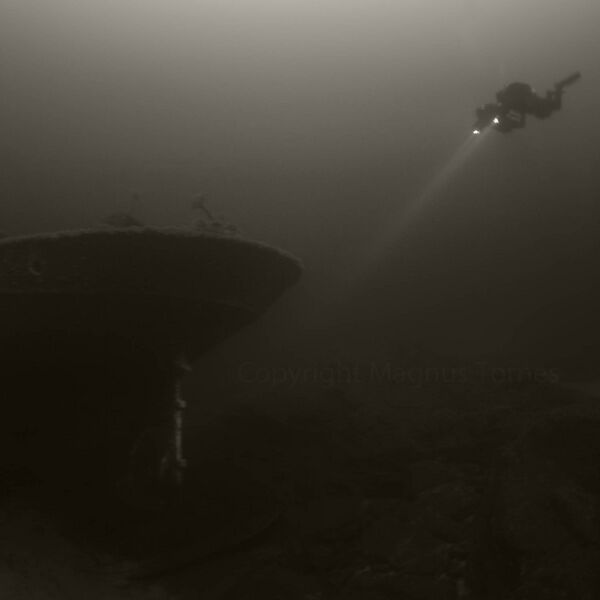 Fil:Hekk3-1, Borghild.jpg