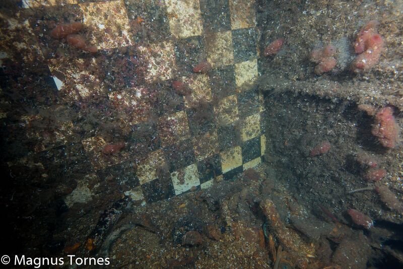 Fil:ByssaX, Nobel.jpg