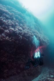 Bilder av Ørjan Knudsen