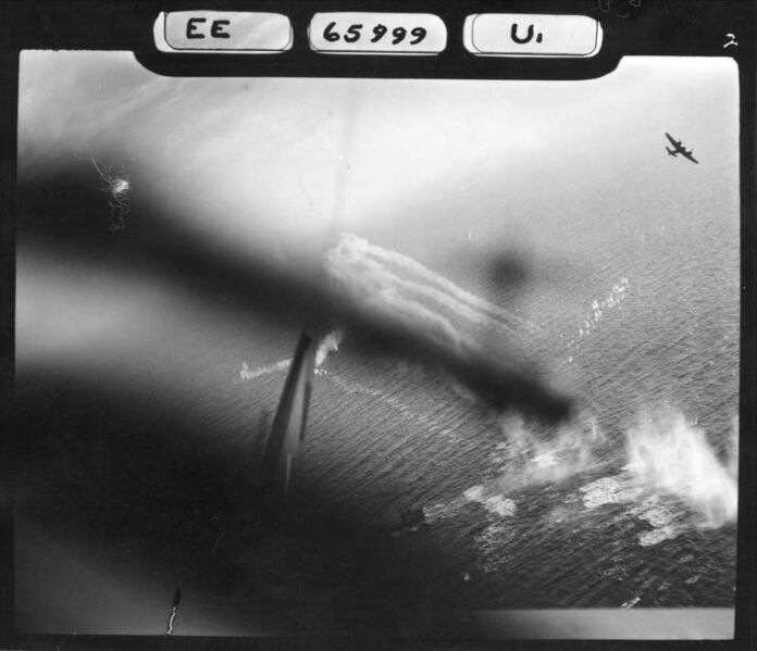 Fil:Lynx TyrifjordImage011.jpg