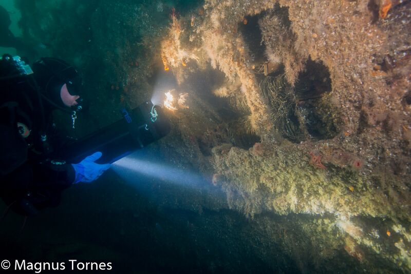 Fil:LunterKjetil, Nobel.jpg