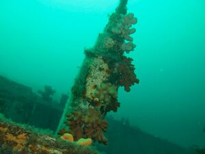 Skorstein? - Copyright © Even Gjerde Nordstrøm