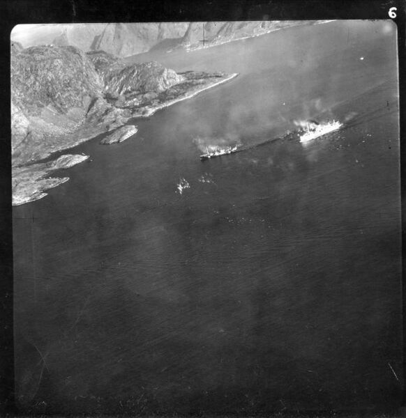 Fil:Lynx TyrifjordImage013.jpg