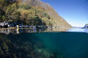 Copyright www.uvgalleri.dk