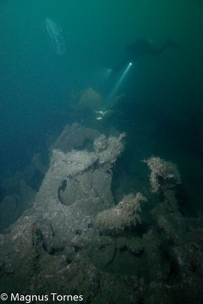 Fil:Hans Leonhardt1X.jpg