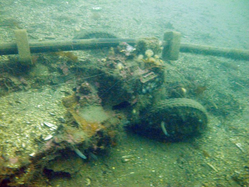 Fil:Donau lastebiler 02.jpg