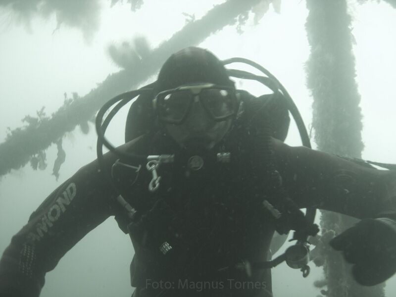 Fil:Flatflesa gamle fyr.jpg