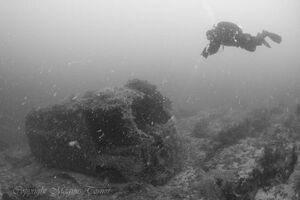 Folkevognbuss Bukkholmen.jpg