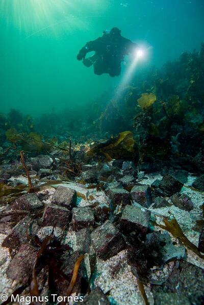 Fil:Brostein1X Kråka.jpg