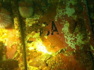 Mulig navn? ...SA? - Copyright © Even Gjerde Nordstrøm