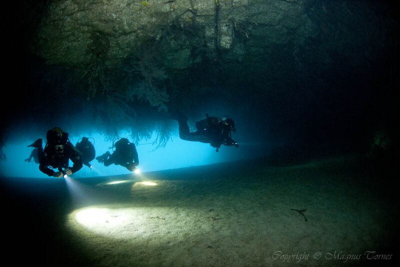 Fil:Palmeira, CaboVerde.jpg
