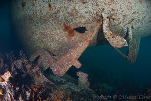 Sanda Sugpropell.jpg