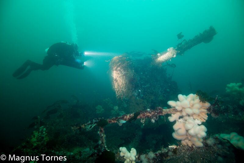 Fil:KanonX, Felix.jpg