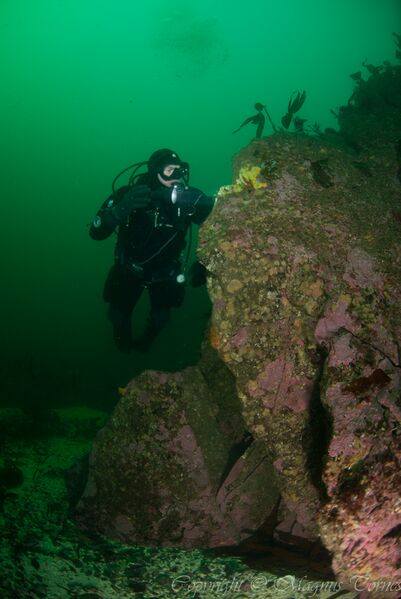 Fil:Kjetil Hallsteinsundet2.jpg