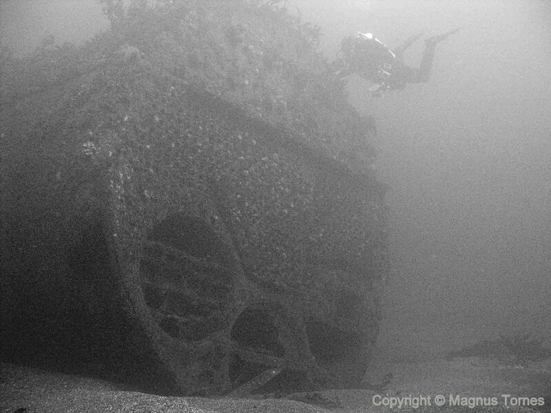 Fil:Olaf Kyrre5edit.jpg