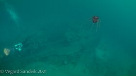 Bilder av Vegard Sandvik