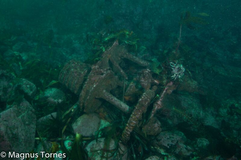 Fil:VinsjX, Vikertangen.jpg