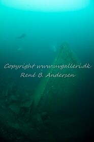 Copyright www.uvgalleri.dk