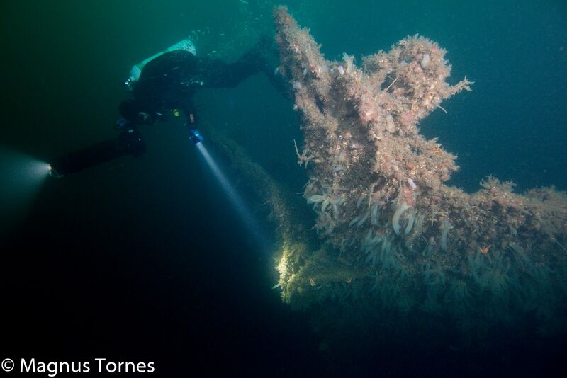 Fil:Baug, Hans LeonhardtX.jpg