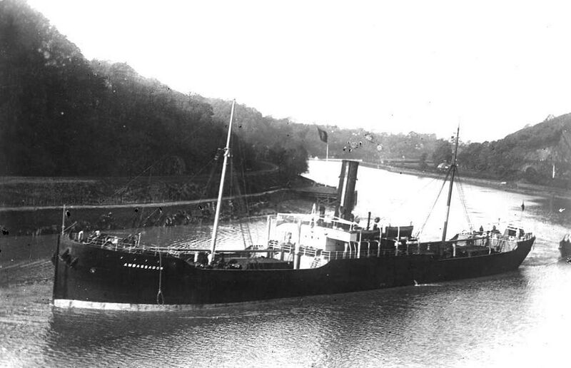 Fil:HelgaF Ambassador.jpg