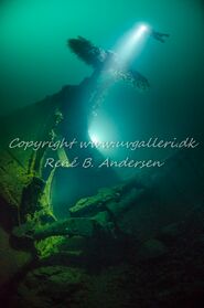 Copyright www.uvgalleri.dk