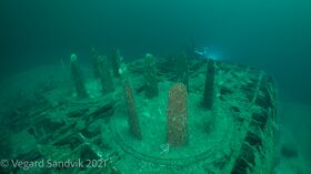 Bilder av Vegard Sandvik