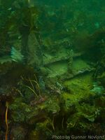 Jernspant, holder sammen skoget av tre