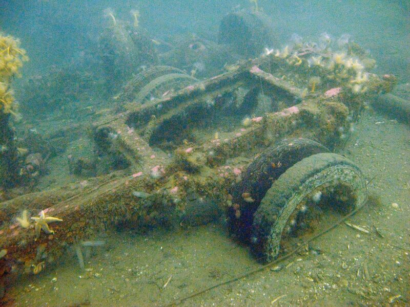 Fil:Donau lastebiler 01.jpg