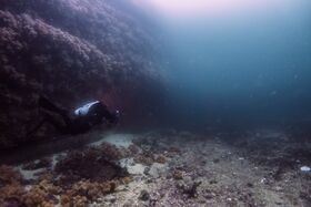 Bilder av Ørjan Knudsen